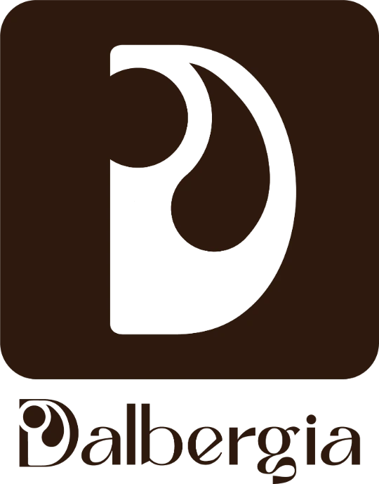 Lutherie Service